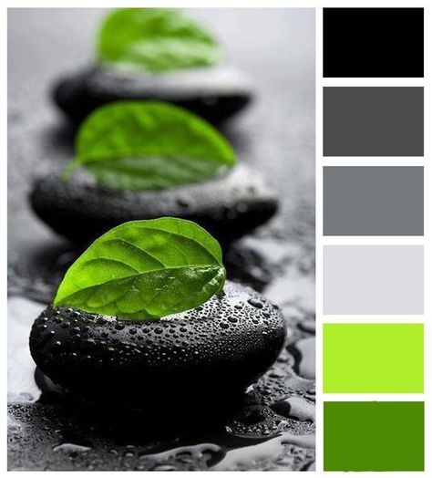 Black Green Grey Color Palette, Mint Green And Black Color Palette, Green Black And White Color Palette, Black White Grey Green Color Palette, Black And White Colour Palette, Green Basement, Green Bathtub, Bathroom Colors Schemes, Kitchen Color Green