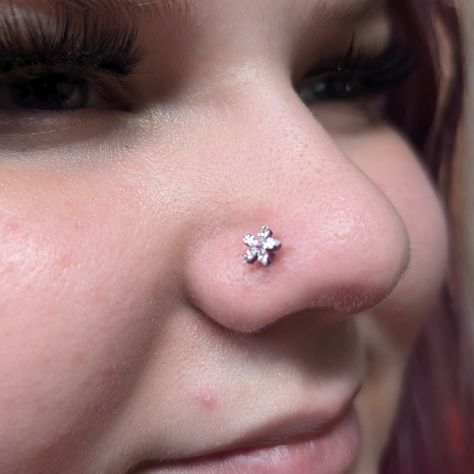 Look at this cute nose Piercing with Titanium Clear CZ Flower Anodized to Fushia!!! It is absolutely stunning AF!! Clear Nose Piercing, Piercing Flat, Nose Jewels, Cute Nose, Cute Nose Piercings, Nose Piercing, That Look, Look At, Flowers