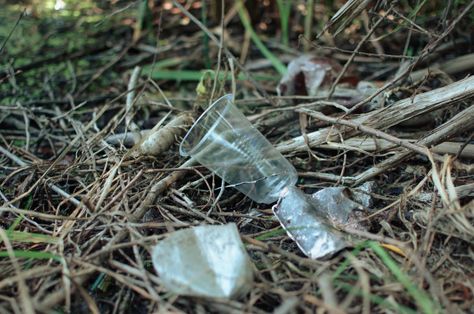 Trash In Forest, Polluted Forest, Environmental Pollution Art, Forest Pollution, Pollution Photography, Pollution Project, Environmental Photography, Elementary Reading Comprehension, Nature Environment