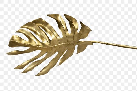 Gold Monstera Leaf, Gold Branches, Golden Leaves, Monstera Leaf, Gold Gold, Transparent Png, Free Image, Gold Leaf, Hair Accessories