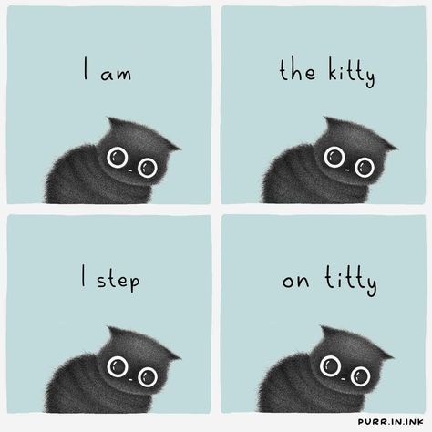 Kitty Quotes, Positivity Aesthetic, Cat Paradise, Cat Hacks, Cat Comics, Silly Cats Pictures, Cat Quotes, Funny Cute Cats, Silly Cats