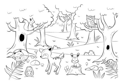 Forest Drawing With Animals, Red Riding Hood Party, Forest Drawing, Kids English, English Activities, Working With Children, Red Riding Hood, Forest Animals, Good Company