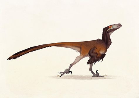 ArtStation - Dromaeosaurs, JOHAN EGERKRANS Johan Egerkrans, Feathered Dinosaurs, Prehistoric Wildlife, Dinosaur Illustration, Jurassic World Dinosaurs, Cute Reptiles, Ancient Animals, Prehistoric Art, Paleo Art