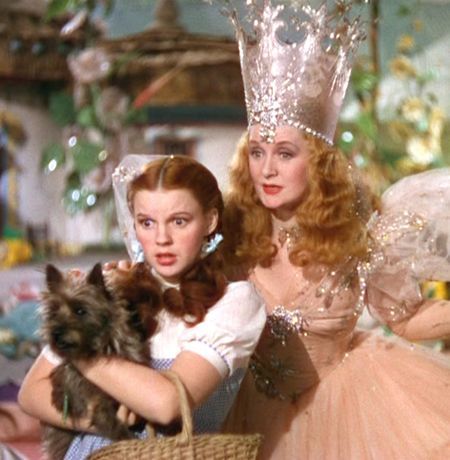 Putting the scenes from the Wizard of Oz in order #funfunfun Wizard Of Oz Movie, Billy Burke, Billie Burke, Manic Pixie, Wizard Of Oz 1939, Dorothy Gale, Movie Plot, Favorite Movie Quotes, Septième Art