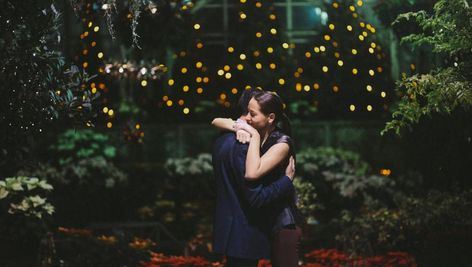 Top Places to Propose in Chicago! Wedicity, Chicago, IL. Wedding and Event Detailing and Planning Basketball Engagement Photos, Lincoln Park Conservatory, Chicago Proposal, Places To Propose, Best Places To Propose, Creative Proposals, Romantic Backdrop, Lake Shore Drive, The Proposal