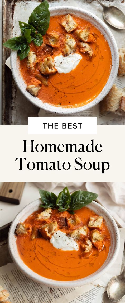 It’s tomato season! This homemade tomato soup is made with garden fresh tomatoes, basil, and garlic for the ultimate dreamy soup. Serve this up with a toasty grilled cheese for the ultimate nostalgic dinner! #dinnerideas #dinnerrecipes #souprecipes #tomatosoup #easydinnerideas #fallsoup #fallrecipes #tomatosouprecipe #homemadetomatosoup Best Homemade Tomato Soup, Mediterranean Tomato, Homemade Tomato Soup, Broma Bakery, Tomato Soup Homemade, Tomato Season, Fall Recipes Healthy, Tomato Soup Recipes, Soup Season