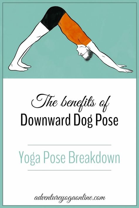 Downward Dog Benefits, Benefits Of Downward Dog, Downward Facing Dog Benefits, Down Dog Yoga Pose, Downward Dog Yoga, Adho Mukha Svanasana, Downward Dog Pose, Yoga Teaching, Yoga Online