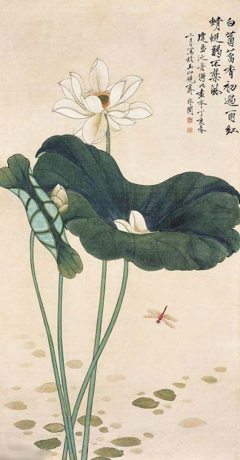 Lotus Painting, Japanese Drawings, Lotus Art, Japanese Art Prints, Asian Painting, Japanese Flowers, Art Japonais, China Art, Wing Chun