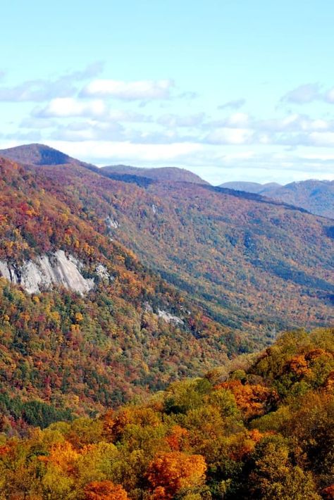 Fall South Carolina, Fall In South Carolina, South Carolina Fall, Fall Foliage Map, Visit South Carolina, Fall Foliage Road Trips, Lake Keowee, Coastal Plain, Fall Mood