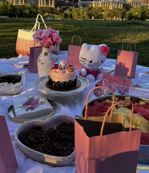 Hello Kitty Picnic, Hello 19, Princess Kitty, School Goals, Hello Kitty Party, Hello Kitty Items, Cat Party, Summer Bucket Lists, Cute Pins