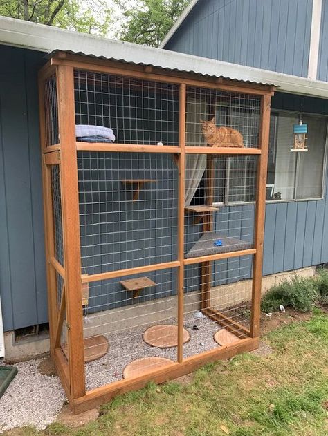 26 Best DIY Catio Ideas | Balcony Garden Web Diy Catios For Cats, Modern Outdoor House, Cat House Design, Cat House Ideas, Aesthetic Pets, Diy Cat House, Catio Ideas, Diy Cat Enclosure, Katt Grejer