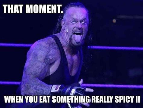 Funny Wrestling, Wrestling Memes, Wwe Funny, Undertaker Wwe, The Shield Wwe, Workplace Humor, Wwe Legends, Funny Animal Jokes, Crazy Funny Memes