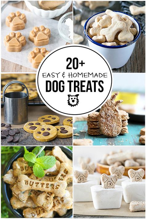 20+ Easy Homemade Dog Treats - Live Laugh Rowe Homemade Pet Treats, Homemade Dog Cookies, Pet Treats Recipes, Recipes Tutorials, Dog Treats Homemade Easy, Easy Dog Treat Recipes, Diy Dog Food, Frozen Dog Treats, Dog Biscuit Recipes