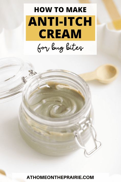 Natural Bug Bite Relief, Anti Itch Remedy, Itching Remedies, Bug Bite Itch, Bug Bites Remedies, Bug Bite Relief, Bite Relief, Bug Bite, Homemade Beauty Recipes