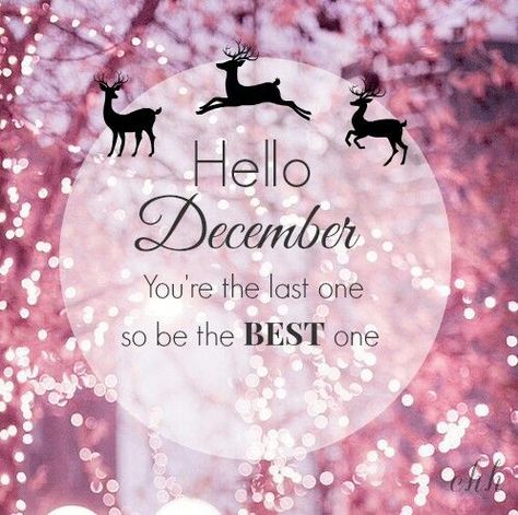 December 2020 December Tumblr, December Quotes Winter, Hello December Pictures, Hello December Quotes, December Hello, Hello December Images, December Images, December Pictures, Quotes Winter