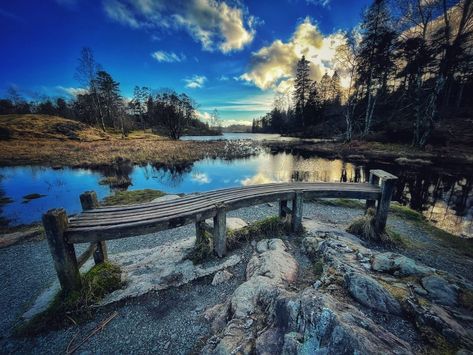 Most Beautiful Scenery, Nature Trails, Wooden Bridge, Nature Trail, Bird Species, Beautiful Scenery, Lake District, Wheelchair, Beautiful Views