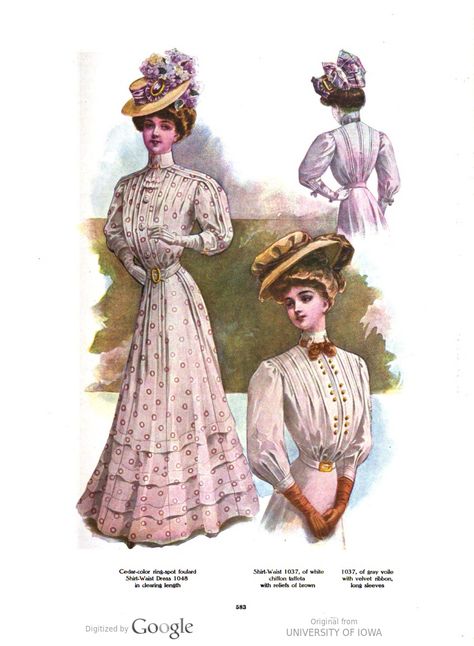 Edwardian Day Dress, Edwardian Era Dress, 1900s Dress, Dress 1900, Afternoon Party, Edwardian Era Fashion, 1900 Fashion, Vintage Prairie Dress, Walking Dress