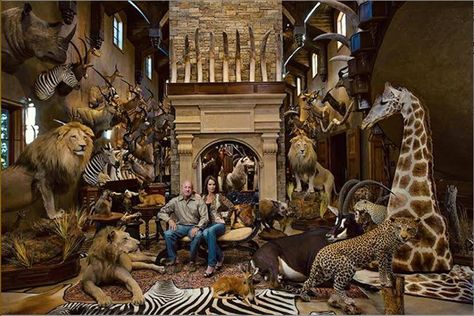 Kerry Krottinger. Texas oil man and owner of Maple Leaf Petroleum, Primrose Operating Company, Pecos Exploration Company, Nyala Inc, Lotus Petroleum Company, Ivory Energy LLC – etc etc. Kerry is a multimillionaire. His house alone is valued at $3.2 million...Here is a picture of their trophy room. This is just one Texas trophy hunter with a “love” of Africa. Just have a count of all the various species displayed. Three lions at least? So many elephant tusks? A giraffe and a rhino? Trophy Rooms Hunting, Taxidermy Decor, Taxidermy Display, Deer Mounts, Hunting Room, Big Game Hunting, Trophy Rooms, Trophy Hunting, Taxidermy Mounts