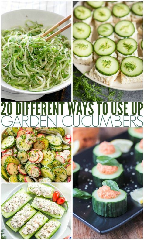 20 Different Ways To Use Up Garden Cucumbers What To Make With Cucumbers From The Garden, Cucumber Snacks Easy, Things To Do With Extra Cucumbers, Recipes To Use Up Cucumbers, Using Up Cucumbers, Picking Cucumber Recipes, Unique Cucumber Recipes, Lots Of Cucumbers, How To Use Cucumbers