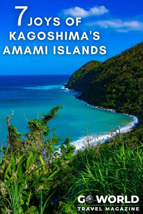 Amami Islands in Japan: 7 Ways to Experience Kagoshima and the Amami Islands in Japan #japantravel #japan #amamiislands #kagoshima #worldheritagesite #traveler #thingstodoinJapan Amami Island Japan, Visit Asia, Healthy Travel, Eco Travel, Glamping Site, Natural Heritage, Exotic Places, Island Travel, Archipelago