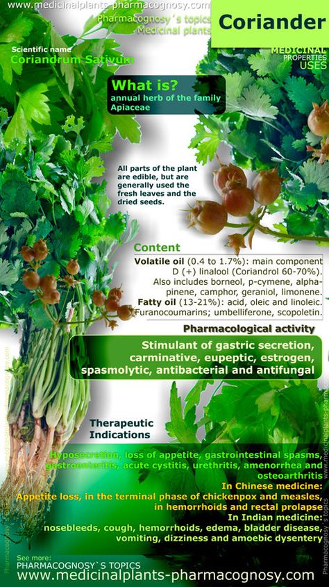 Coriander benefits. Infographic. Properties of the plant. Summary of the general characteristics of the Coriander plant. Medicinal properties, benefits and uses more common of Coriander.  Pharmacognosy - Medicinal plants - Herbs.  http://www.medicinalplants-pharmacognosy.com/herbs-medicinal-plants/coriander/benefits-infographic/ Coriander Benefits, Benefits Infographic, Healing Plants, Healing Food, Healing Herbs, Planting Herbs, Medicinal Herbs, Medicinal Plants, Natural Medicine