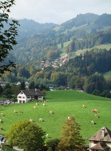 Gruyére, Switzerland - Making Thyme for Health Switzerland Countryside, Gruyere Switzerland, Gruyeres Switzerland, Swiss Countryside, Swiss Chocolate, Medieval Architecture, Switzerland Travel, Zermatt, Alam Yang Indah