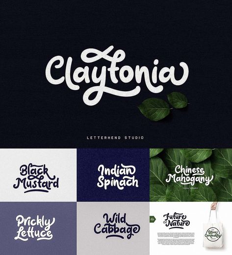 Playful Script Font, Script Graphic Design, Playful Fonts Free, Quote Design Ideas, Hand Written Logo, Hand Written Fonts, Written Fonts, Hand Written Typeface, Fonts Simple