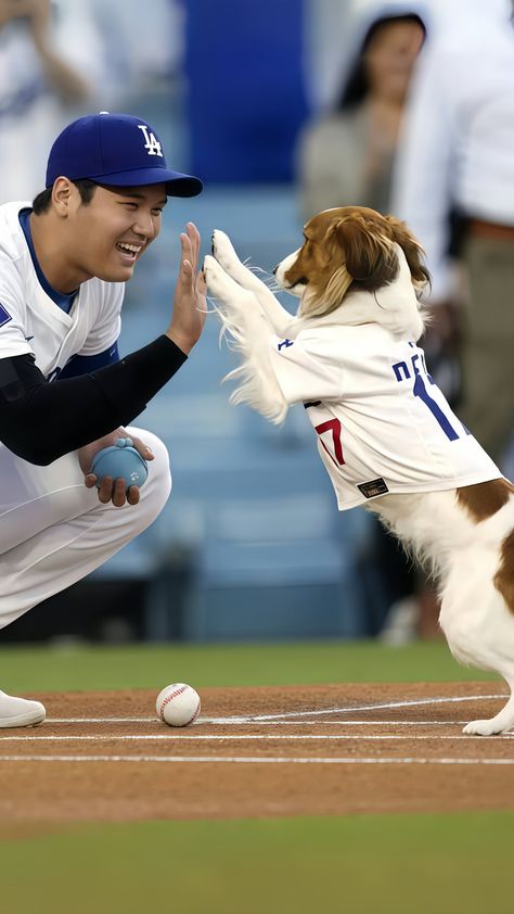 Dodger Dog, Dodgers Nation, Kobe Bryant Poster, La Dodgers Baseball, Baseball Wallpaper, Dodgers Girl, Ohtani Shohei, House On Stilts, Baseball Guys