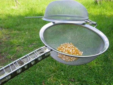 Campfire Popcorn, Making Popcorn, 1000 Lifehacks, Kreative Snacks, Homeschooling Tips, Campfire Food, Fire Cooking, Campfire Cooking, Camping Glamping