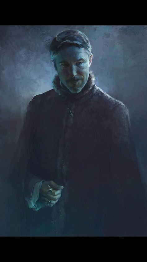 [TV] Amazing Littlefinger painting Lord Baelish, Finger Games, Petyr Baelish, Game Of Thrones Poster, Aidan Gillen, The North Remembers, Asoiaf Art, Kings Game, Gra O Tron