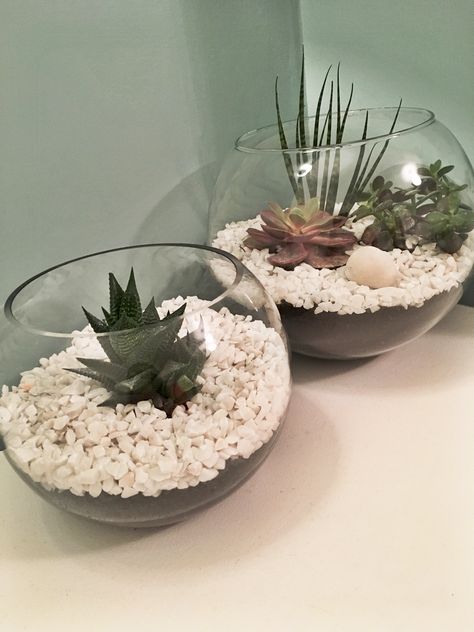 Plants In Glass Bowl, Fishbowl Terrarium, Fish Bowl Decorations, Fishbowl Centerpiece, Glass Bowl Centerpieces, Yard Ideas Diy, Glass Bowl Decor, Glass Fish Bowl, Ideas Animal Crossing