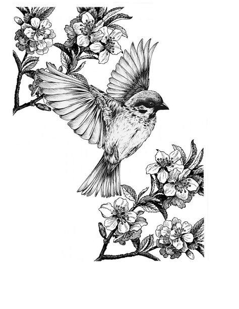 Bird And Flower Drawing, Bird Tattoo Drawing, Bird Art Drawing, Tattoo Line Art, Vogel Tattoo, Sparrow Tattoo, Kunst Tattoos, Drawing Hands, Bird Sketch