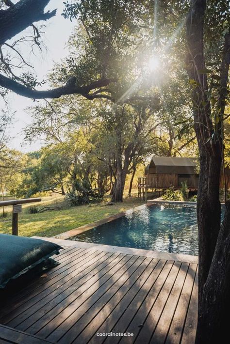 A swimming pool with a wooden deck a field of grass on the left side, glamping tents behind, surrounded by trees. South Africa Resort, South Africa Itinerary, Lodges South Africa, Bush Lodge, Safari Lodges In South Africa, Western Cape South Africa, Safari Tent, Luxury Tents, South Africa Travel