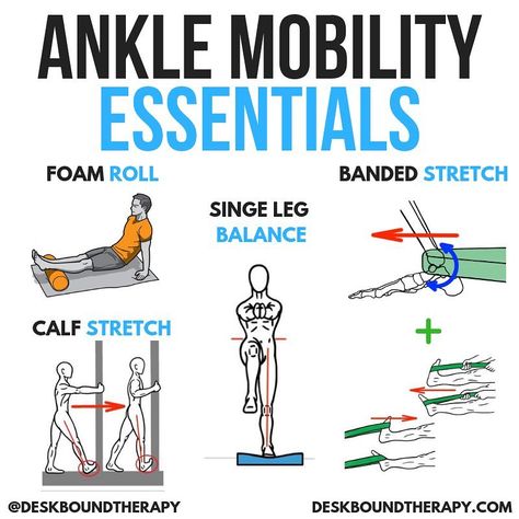 Ankle Mobility Stretches, Ankle Mobility Exercises, Ankle Dorsiflexion, Ankle Workout, New To The Gym, Ankle Flexibility, Deadlift Squat, Ankle Stability, Sports Physical Therapy