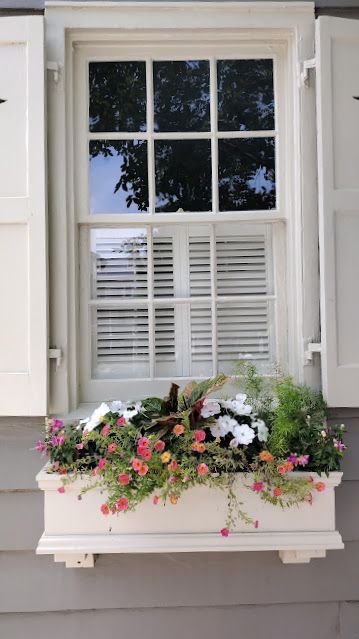 Visiting Charleston Part 1-Window Box Stroll Visit Charleston Sc, White Window Boxes, Box Flowers, Window Box Flowers, White Window, Pink Door, Drain Pipe, Plant Combinations, Window Boxes