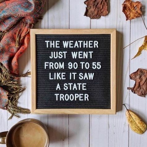 Letterboard Signs, Wednesday Humor, Message Board Quotes, Fall Memes, Felt Letter Board, Word Board, Funny Letters, Board Quotes, State Trooper