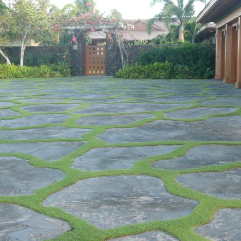 Hawaiian driveways ( Idea for redoing drive way/walk ways) Pavers With Grass In Between Driveways, Moss Driveway, Flagstone Driveway Ideas, Green Driveway, Driveway Inspiration, Grass Driveway, Permeable Driveway, Broken Concrete, Front Walkway