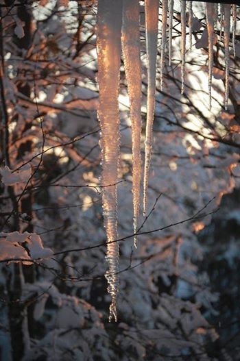 Silver Slippers, Winter Air, Winter Frost, Winter's Tale, I Love Winter, Airbrush Art, Frozen In Time, Winter Magic, Winter Beauty