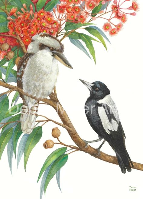 This Digital Prints item by DebraMeierArt has 49 favourites from Etsy shoppers. Is dispatched from Australia. Listed on 20 Aug, 2024 Australian Wall Art, Magpie Painting, Australian Magpie, Living Overseas, Australian Fauna, Australian Painting, Australian Flora, Australian Wildlife, Artwork Gifts