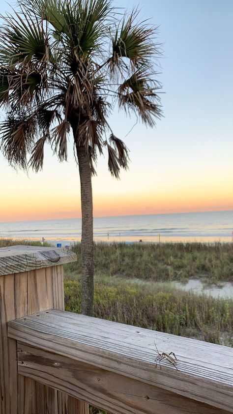 South Carolina Aesthetic Myrtle Beach, Myrtle Beach House, Sumter South Carolina, Myrtle Beach Wallpaper, Myrtle Beach Sunset, Charleston Wallpaper, Mrtyle Beach, Charleston Sc Aesthetic, Myrtle Beach Aesthetic