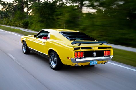 . Yellow Mustang, Ford Mustang 1969, Ford Mustang Shelby Cobra, Muscle Cars Mustang, Vintage Mustang, Cool Old Cars, 1970 Ford Mustang, Ford Mustang Fastback, Classic Mustang