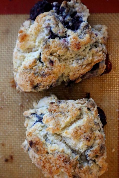 Blackberry Scone Recipe Recipes With Frozen Blackberries, Blackberry Scones Recipe, Blackberry Breakfast, Fruit Scones Recipe, Brunch Sweets, Blackberry Scones, Berry Scones, Popover Recipe, Superfood Breakfast