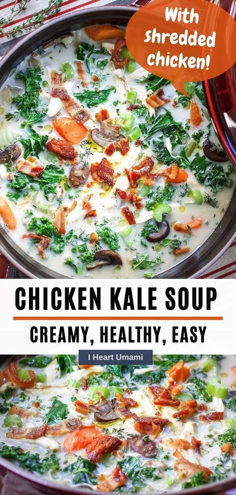 This Chicken Kale Soup uses cooked and shredded chicken or turkey and fresh kale greens is a healthy and delicious soup, plus easy to make! #chickenkalesoup #kalesoup #glutenfreerecipes #souprecipes #creamysoup #thanksgivingleftoverrecipes #holidayrecipes Creamy Chicken Kale Soup, Kale And Chicken Soup, Chicken Kale Soup Recipes, Broccoli Kale Soup, Soups With Kale, Recipes Using Kale, Chicken And Bean Soup, Keto Stew, Chicken And Kale Soup