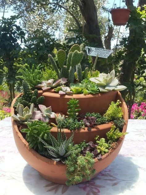 Broken Pot Garden, Succulent Garden Landscape, Fairy Garden Pots, Creative Garden Decor, Succulent Landscape Design, Fairy Garden Plants, Succulent Garden Design, Pot Garden, Succulent Garden Diy