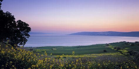 The Jordan River, The Sea Of Galilee, Jordan River, The Annunciation, Sea Of Galilee, Bible History, At The Sea, Gorgeous Gardens, Holy Land