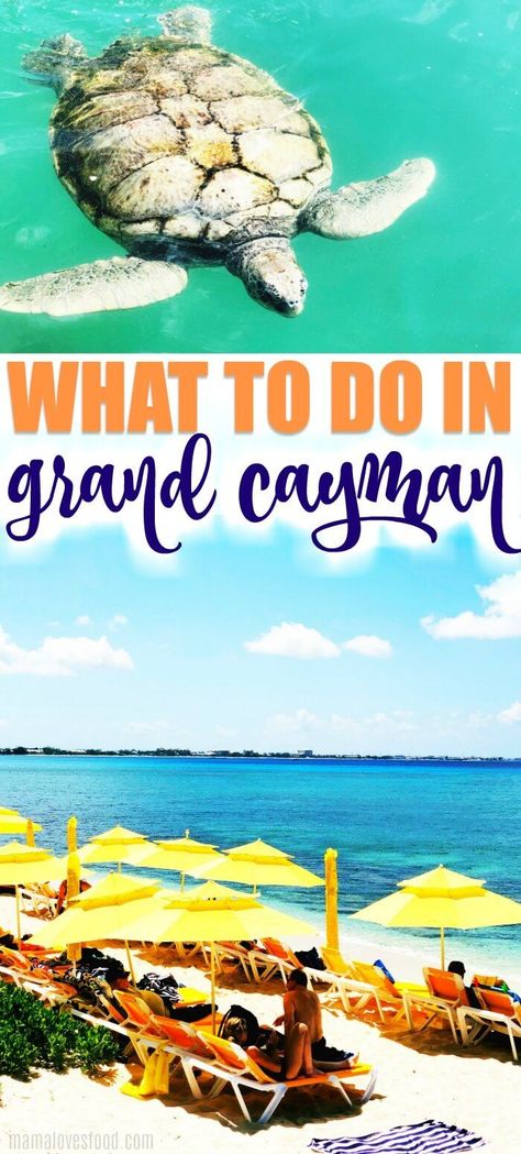 Grand Cayman Island - Everything to Do and See! - Grand Cayman Island is a popular cruise stop in the Caribbean and full of amazing things to do and see. Make sure to check our guide for great ideas! Travel Island, Grand Cayman Island, Cayman Island, Western Caribbean, George Town, Travel Vintage, Travel Things, Traveling Tips, Vintage Hawaii