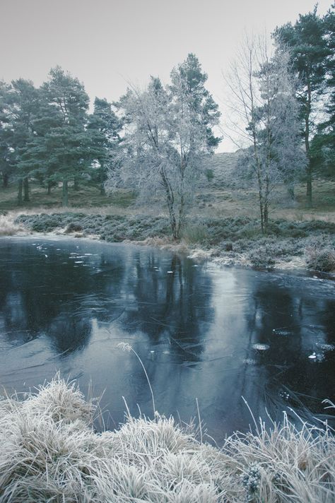 Frozen Pond Aesthetic, Frozen River Aesthetic, Kim Shui, Bleak Midwinter, Wonderland Aesthetic, Frozen River, Frozen Snow, Frozen Pond, Gacha Outfits