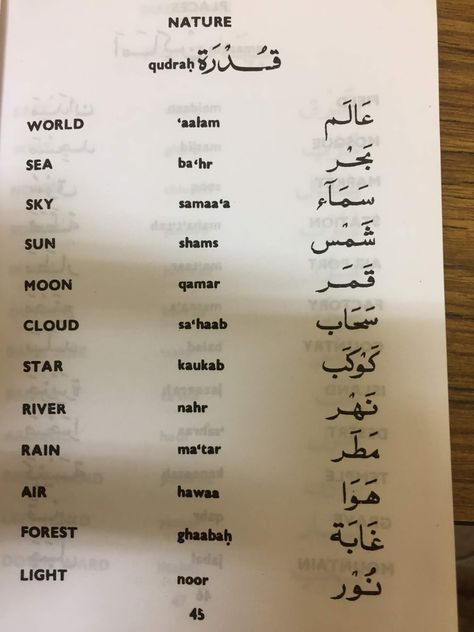 LEARNING ARABIC 8 Arabic Language Learning Words, Arabic Lessons For Beginners, Arabic Notes, Arab Language, Learning Arabic For Beginners, Arabic For Beginners, Arabic Language Learning, Arabic Culture, Turkish Lessons