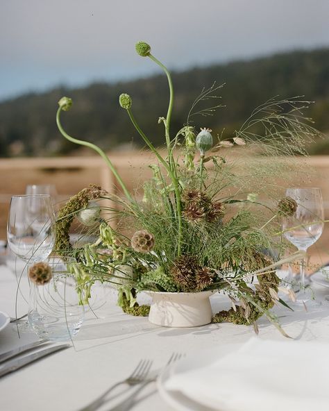 Seaside elegance meets wedding dreams 🌊✨ Our stunning platform and custom flooring at The Sea Ranch Lodge is a must-see! Walk down the perfect aisle, right by the ocean. Ready to make your big day unforgettable? #hensleyeventresources #venuetransformation #custom #weddingvenue #weddingphotography #weddingday #eventplanner #eventdesign #weddingplanner #platform #customfabrication #flooring #flooringideas #flooringinstallation #weddingbythesea #interiordesign #inspiration Planning & Design :... Sea Ranch Lodge Wedding, Montage Healdsburg, San Miguel Wedding, Sea Ranch Lodge, Autumn Tablescapes, Tablescapes Party, The Sea Ranch, Marriage Celebration, Green Centerpieces