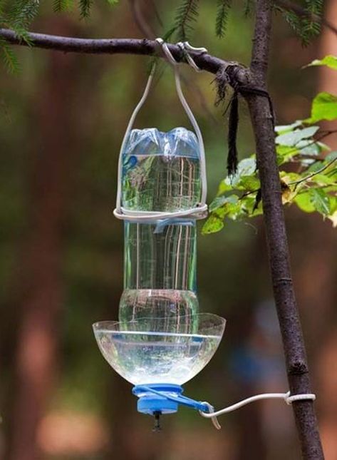 Homemade Bird Feeders, Plastic Bottle Art, How To Recycle, Christmas Crafts For Adults, Diy Bird Feeder, Diy Birds, Bird Houses Diy, Plastic Bottle Crafts, Humming Bird Feeders